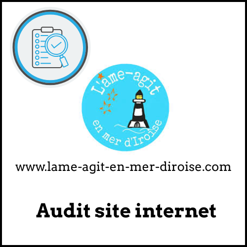 Audit du site La Magie en Mer Tiroise www.lame-agit-en-mer-diroise.com
